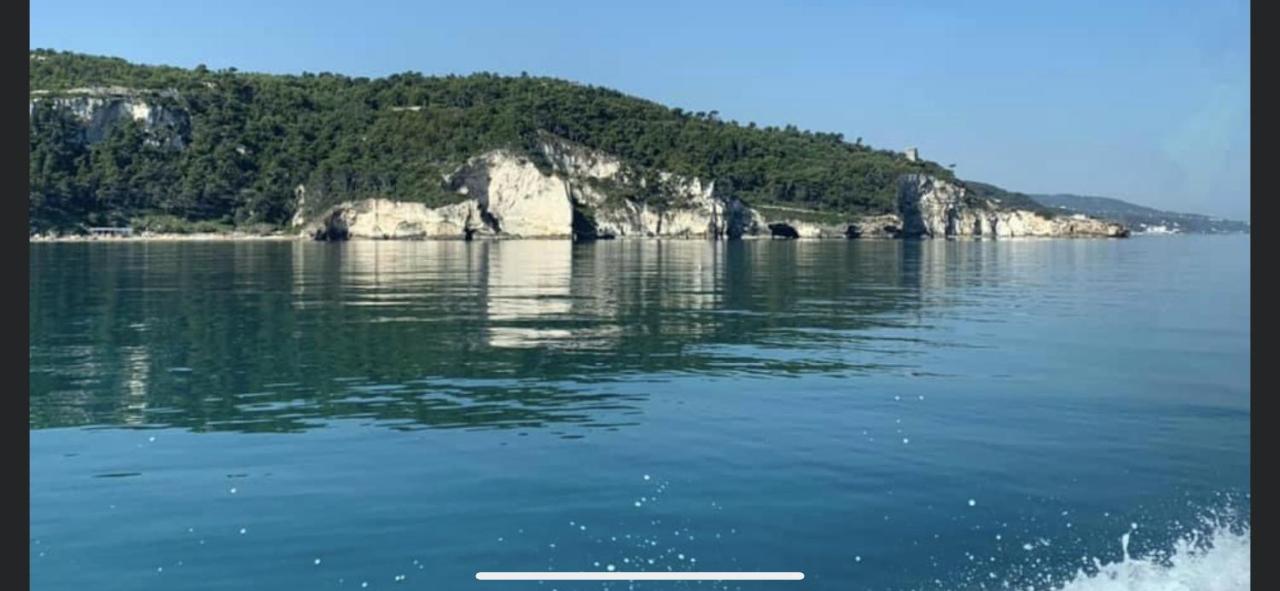 Villa Pineta San Menaio Bagian luar foto