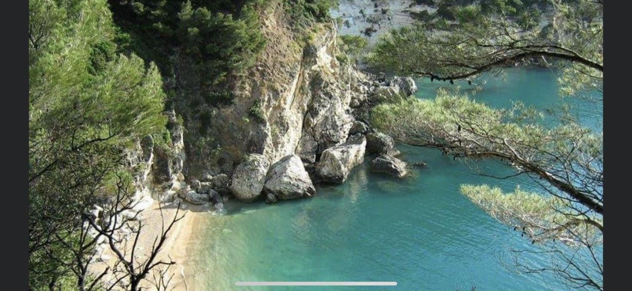 Villa Pineta San Menaio Bagian luar foto