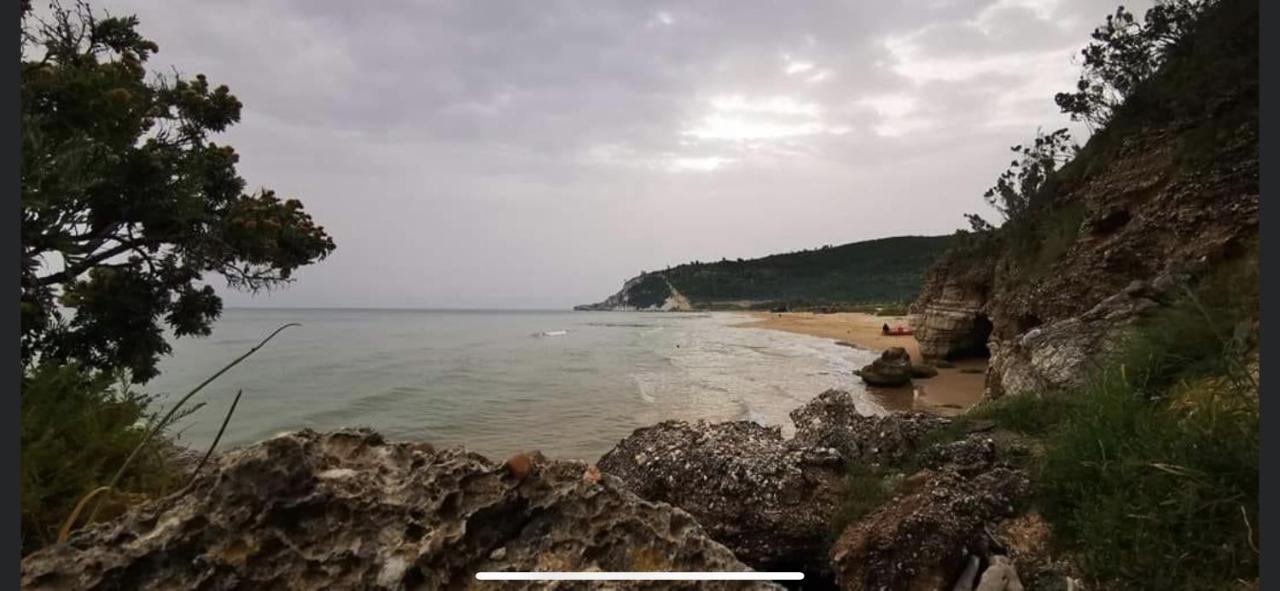 Villa Pineta San Menaio Bagian luar foto