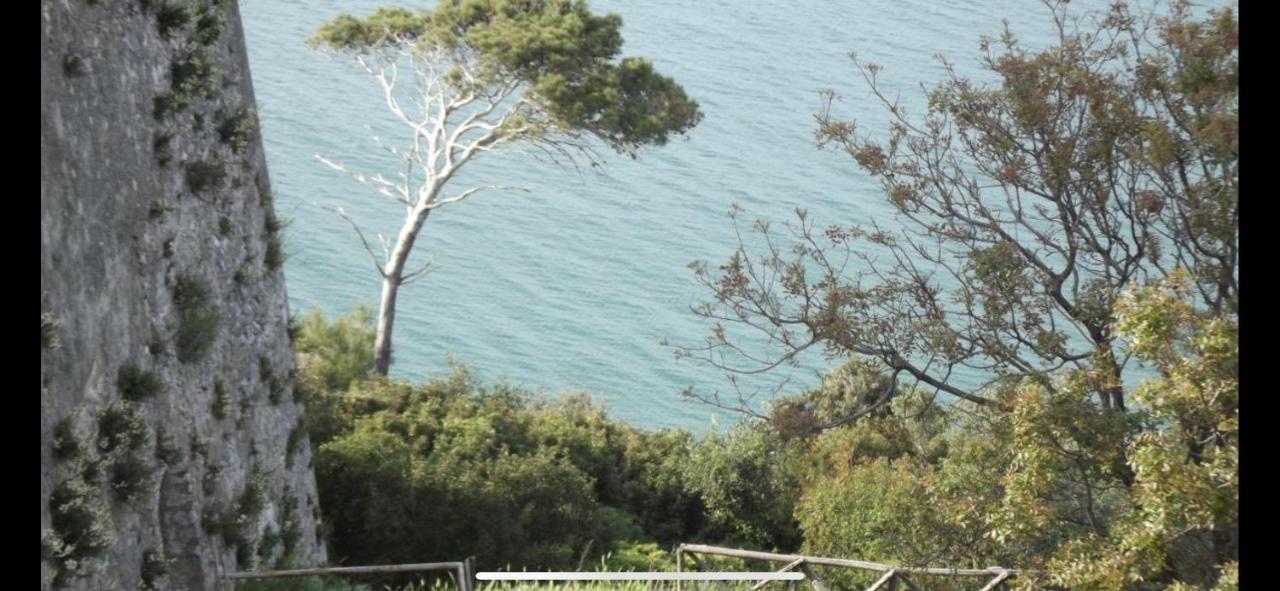 Villa Pineta San Menaio Bagian luar foto