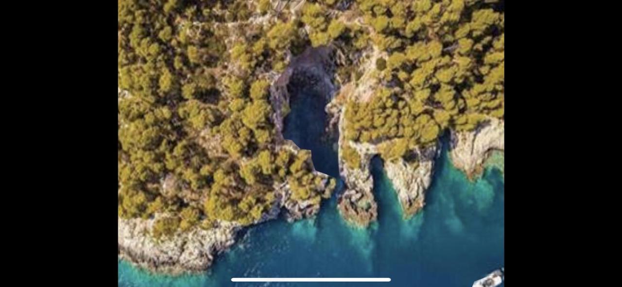Villa Pineta San Menaio Bagian luar foto